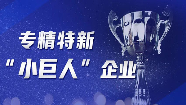 喜訊!洲翔榮膺國家級專(zhuān)精特新“小巨人”企業(yè)